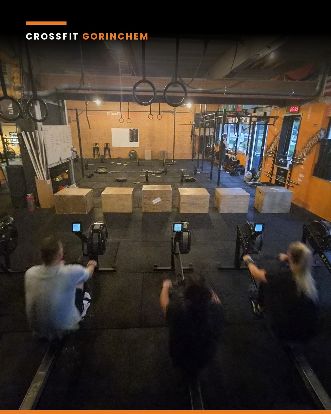 Overzicht van de box met roeiers en rig